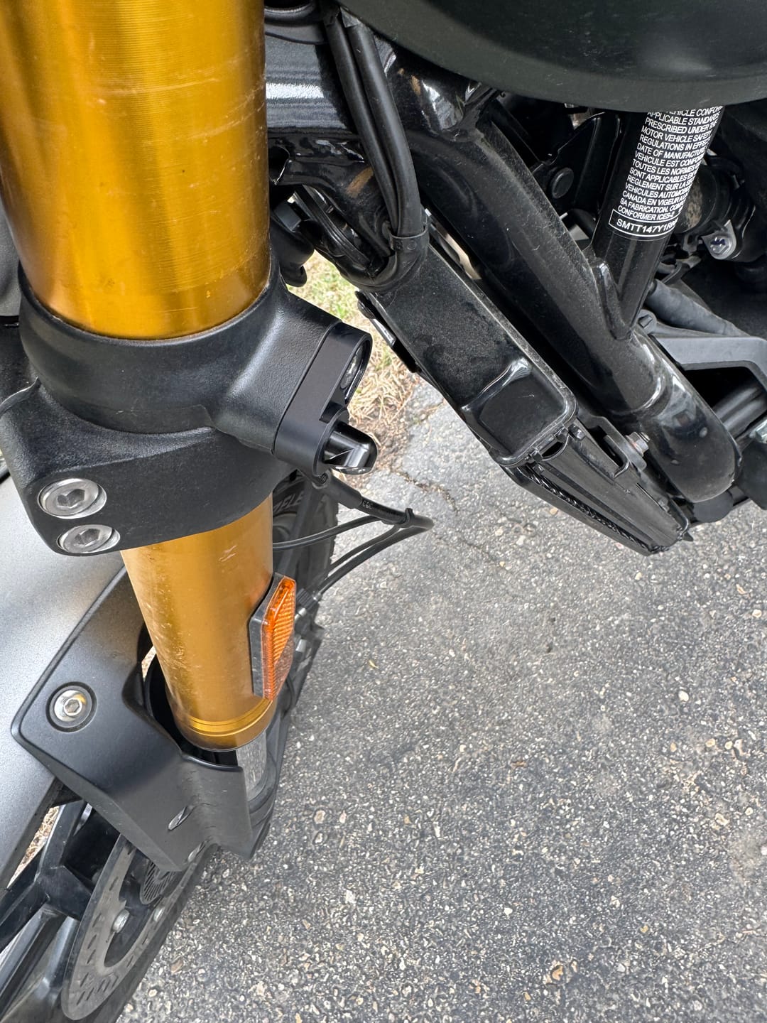 Customer photo review of Triumph Speed 400 & Scrambler 400  Low Profile Plug & Play Front Turn Signal Kits