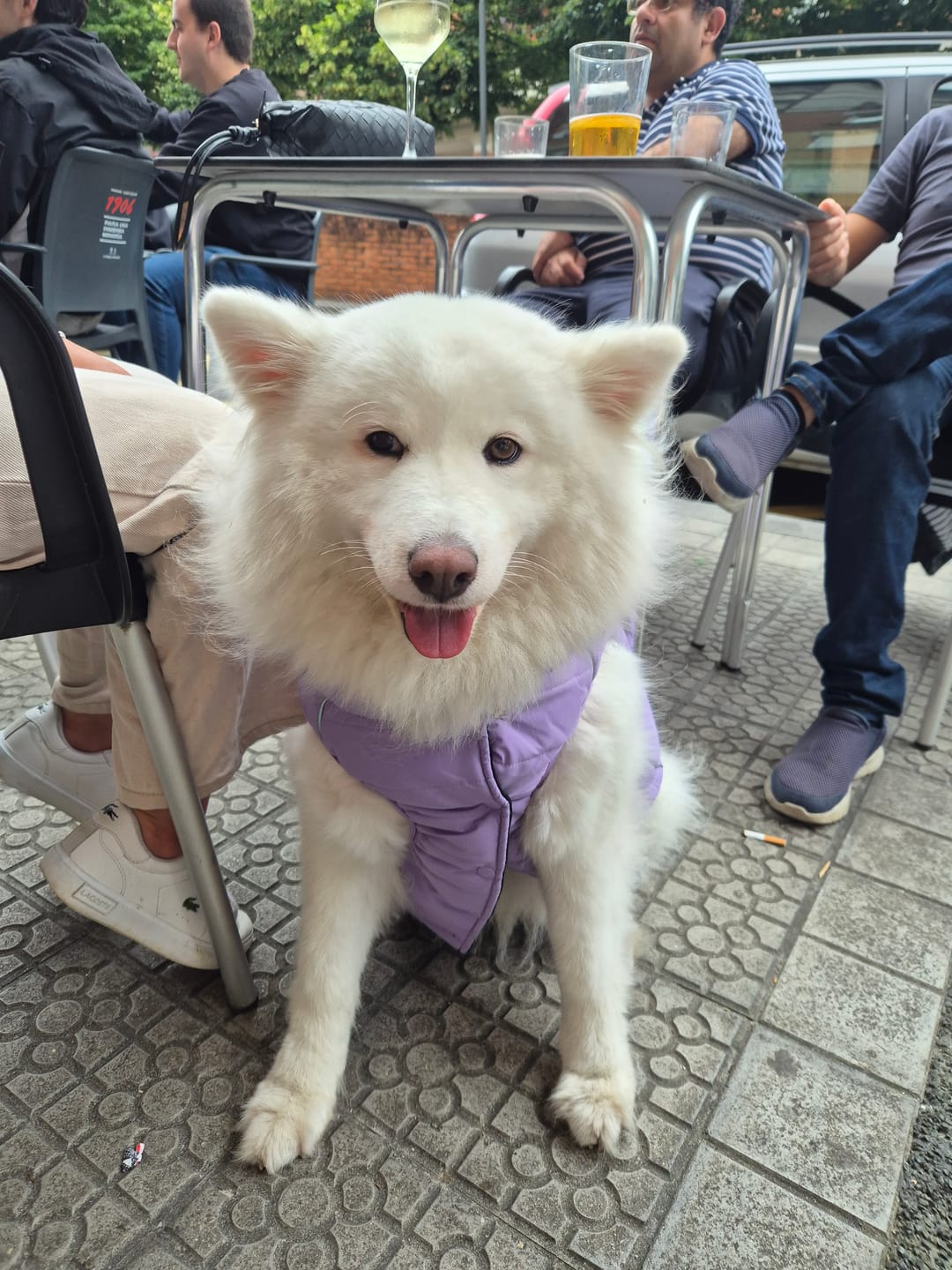 Customer photo review of WarmShield Water-Resistant Jacket - Lilac