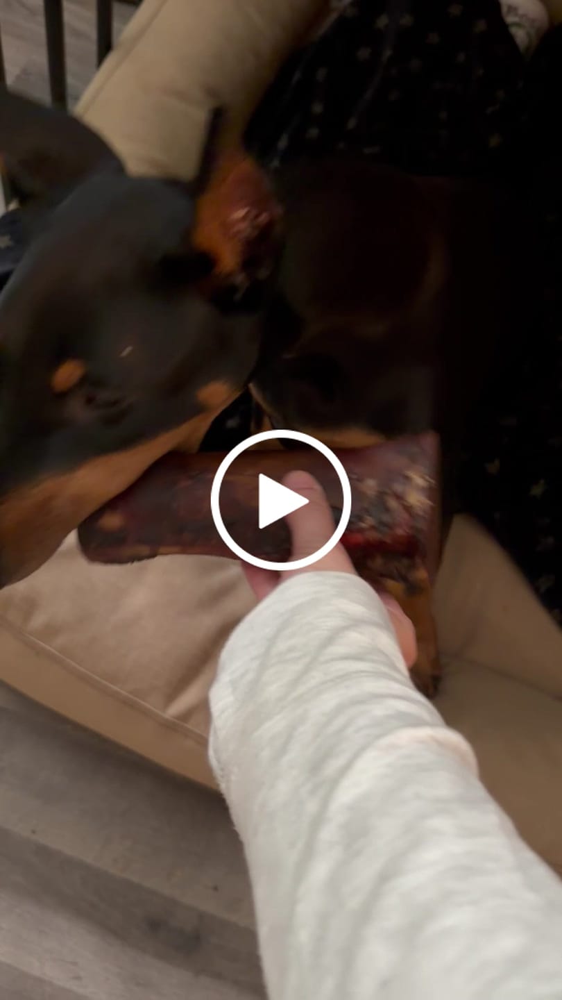 Customer video review of Large Dog Spring Treat Bundle (41+ lbs)