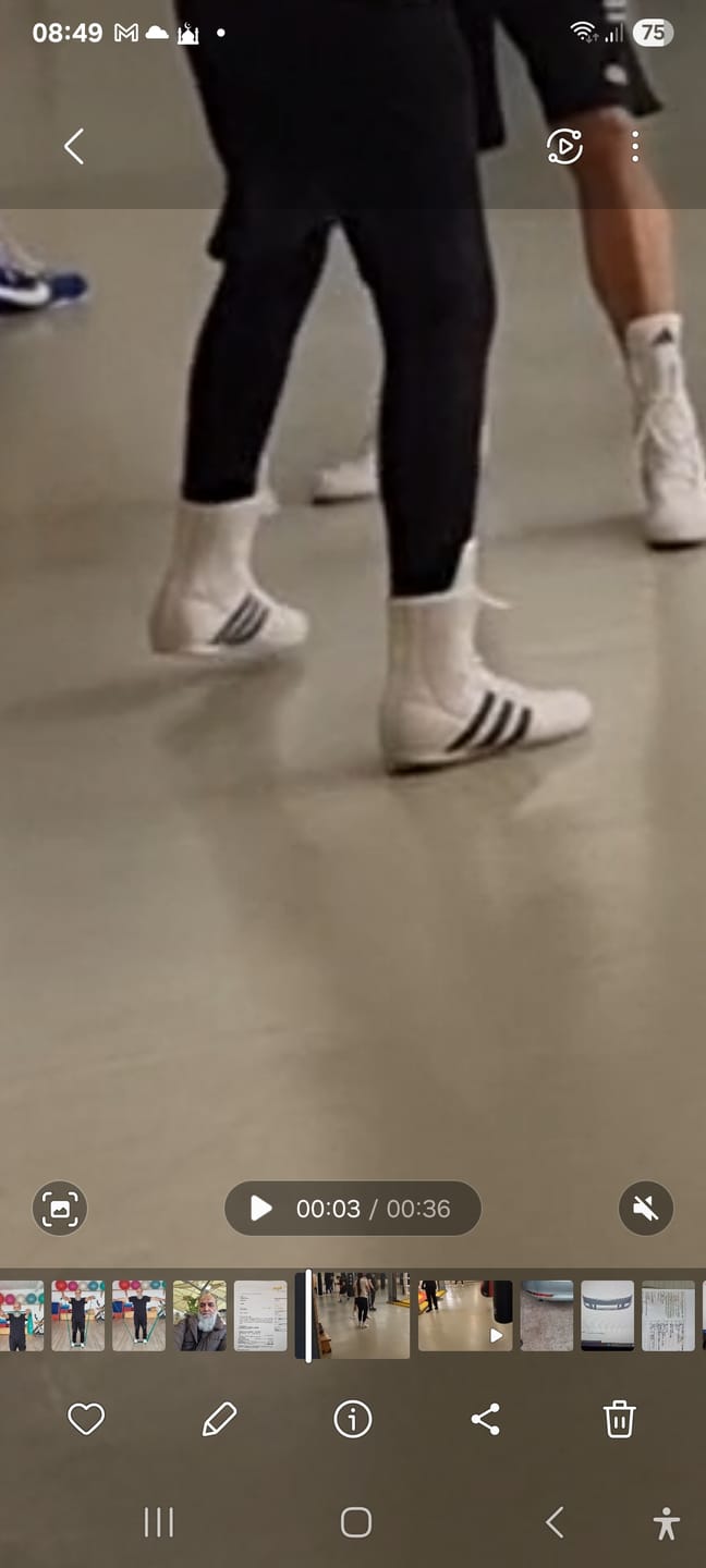 Customer photo review of Adidas Boxschuhe Box Hog 2 – Weiss/Schwarz