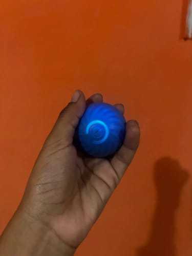Customer photo review of Self-Rolling Smart Dog Ball