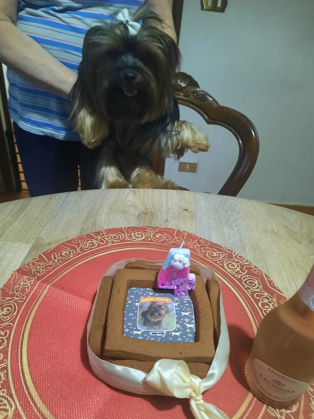 Customer photo review of BiscoBau Fotogenica Torta Per Cani con Fotografia e Messaggio (senza decorazioni di glassa o pasta di zucchero)