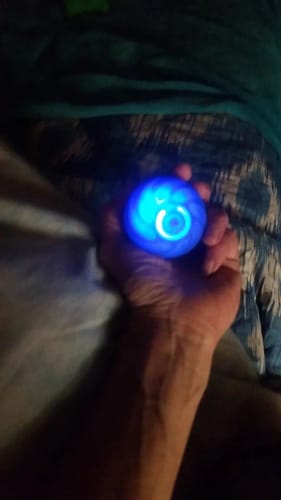 Customer photo review of Self-Rolling Smart Dog Ball