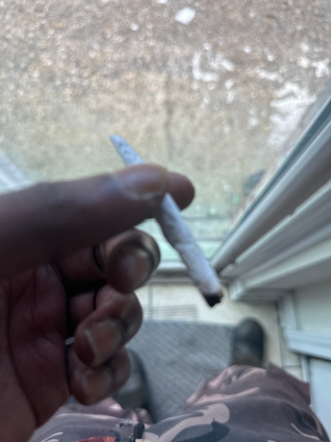 Customer photo review of Maui Wowie - 28 Grams Littles - Sativa