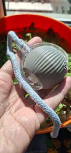 Customer photo review of Smart Interactive Rolling Ball for Small Dogs – Reduce Boredom & Anxiety