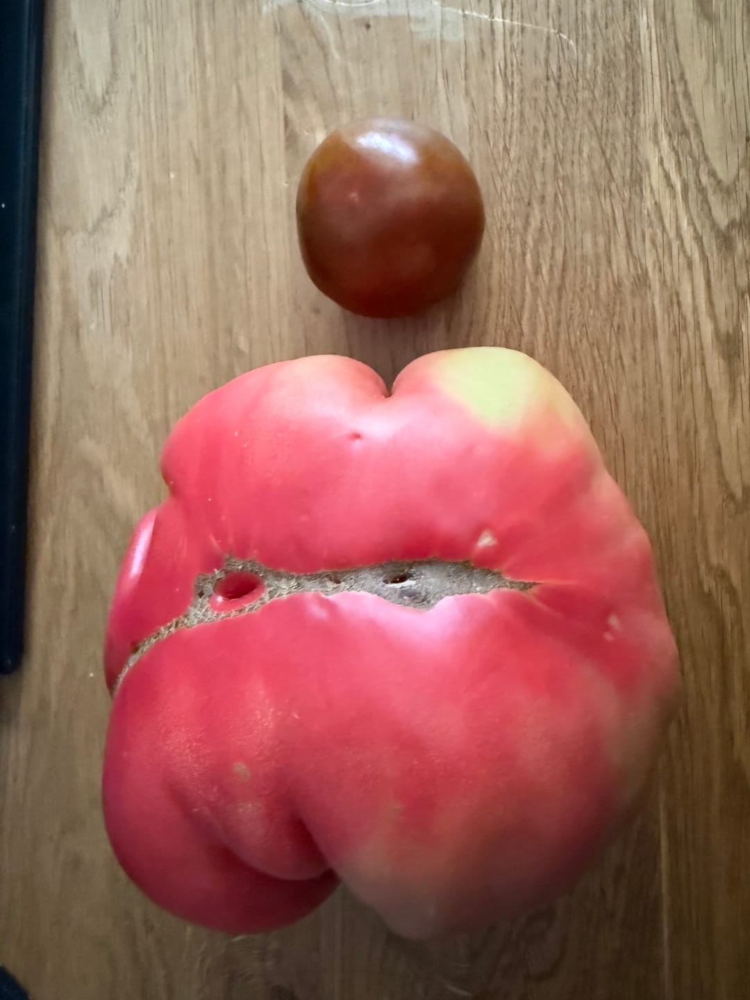 Customer photo review of Tomaten Mix von Julian Box 3kg Aktionswoche %