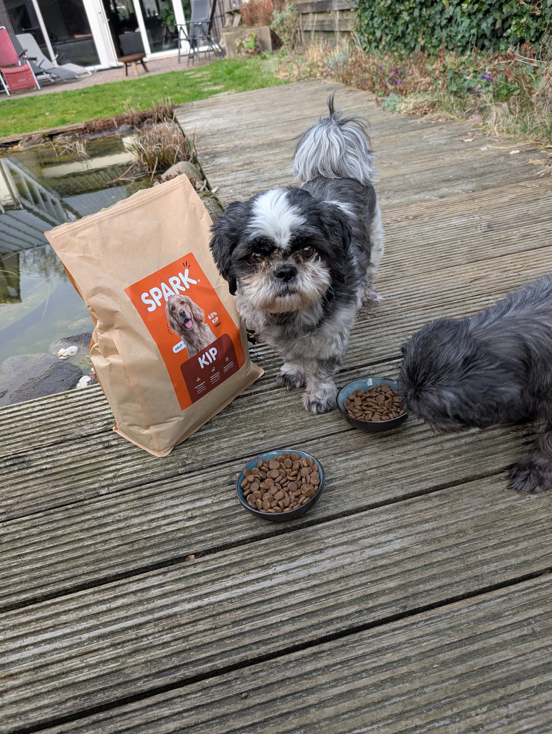 Customer photo review of V2.0 - Volwassen - Kip met Zoete Aardappel