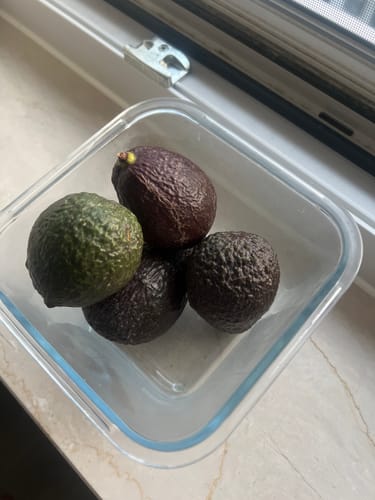 Kundenbild des Avocado-Mix: Mehrere Avocados in einer Glasschale, die verschiedene Reifegrade von grün bis dunkel zeigen.