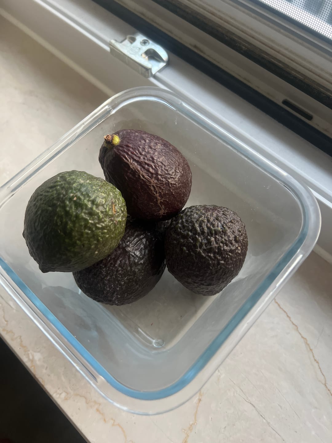 Customer photo review of Avocado-Mix 13 Monate baumgereift Sonderaktion % 2kg Box