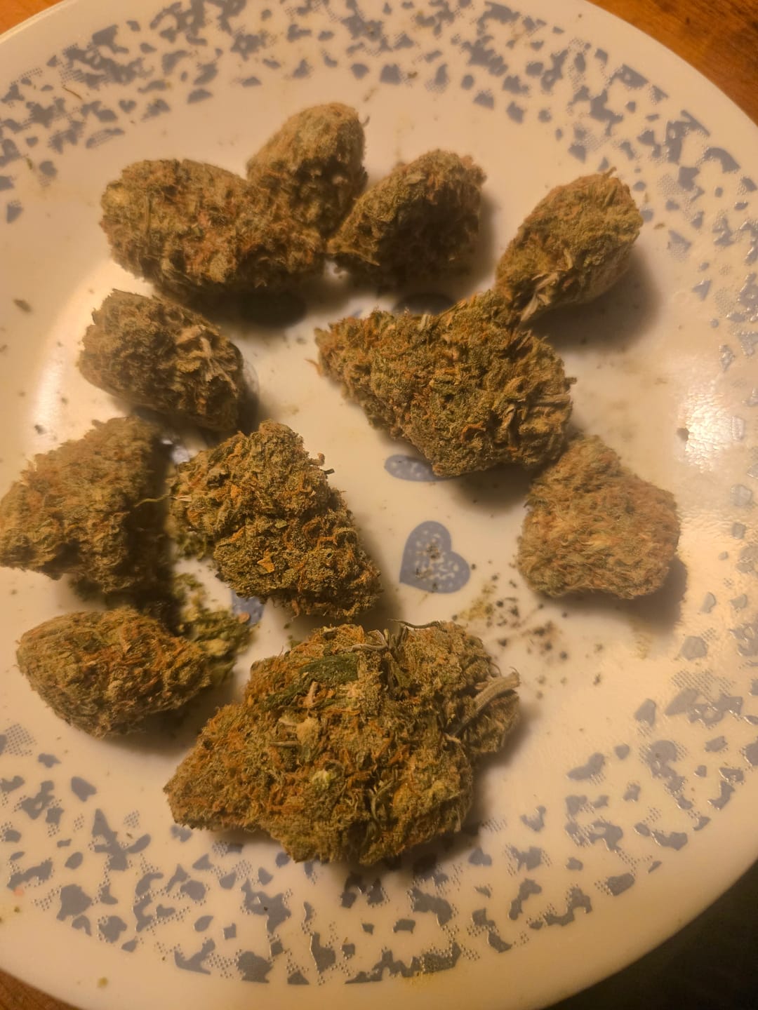 Customer photo review of Jack Herer - Indoor - 14 Grams - Sativa