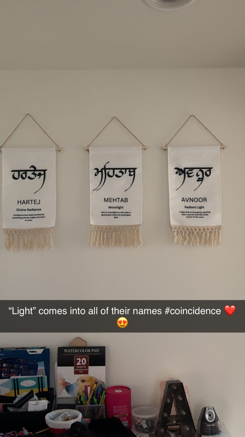 Customer photo review of MEHTAB Punjabi Name Banner