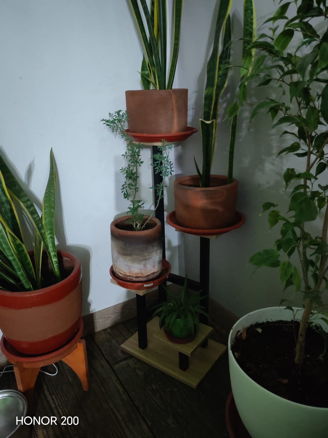Customer photo review of Estante para Plantas de Madera | Soporte Decorativo Multiuso