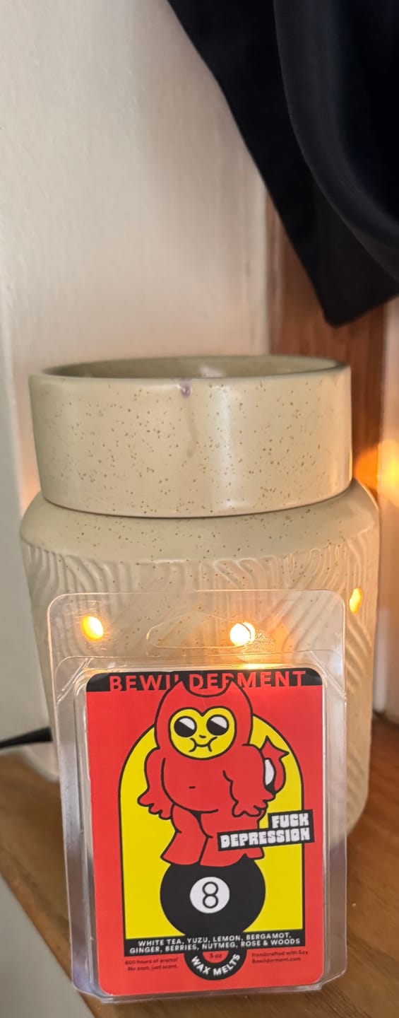 Customer photo review of F*ck Depression Wax Melts