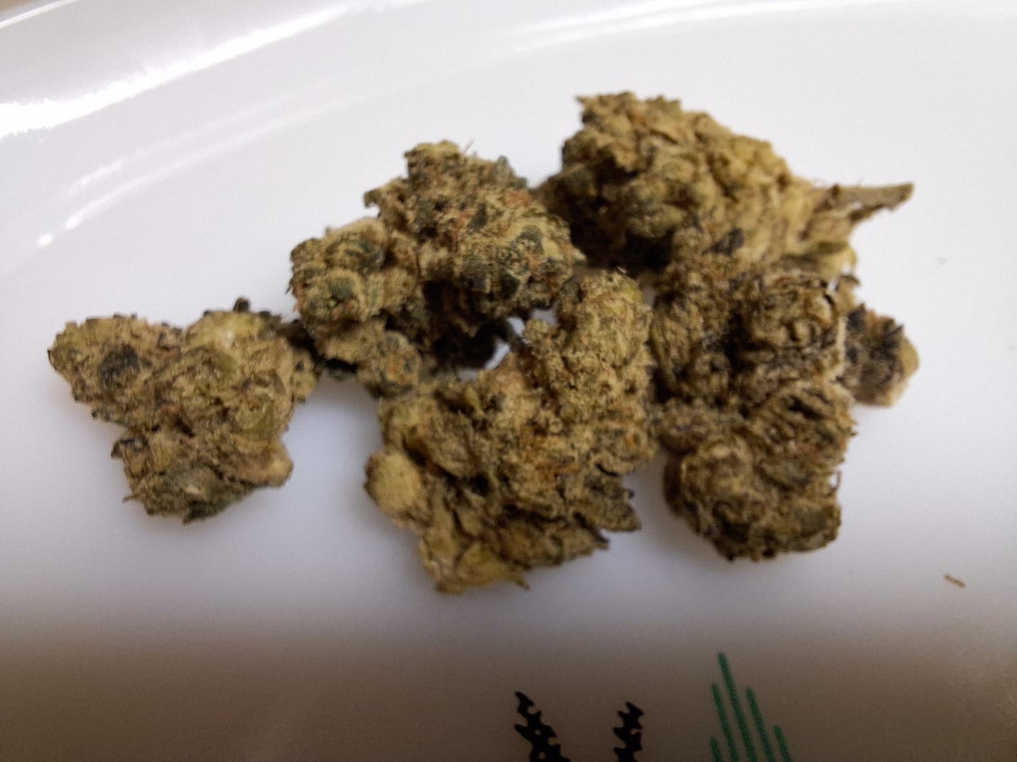 Customer photo review of Hi-Octane