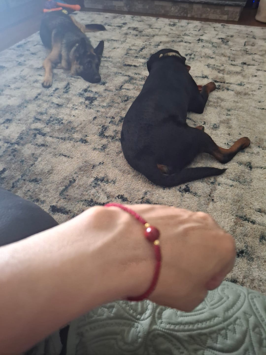 Customer photo review of High-Content Cinnabar Red String Bracelet – Handmade Feng Shui Protection & Good Luck Charm Jewelry for Prosperity & Strength