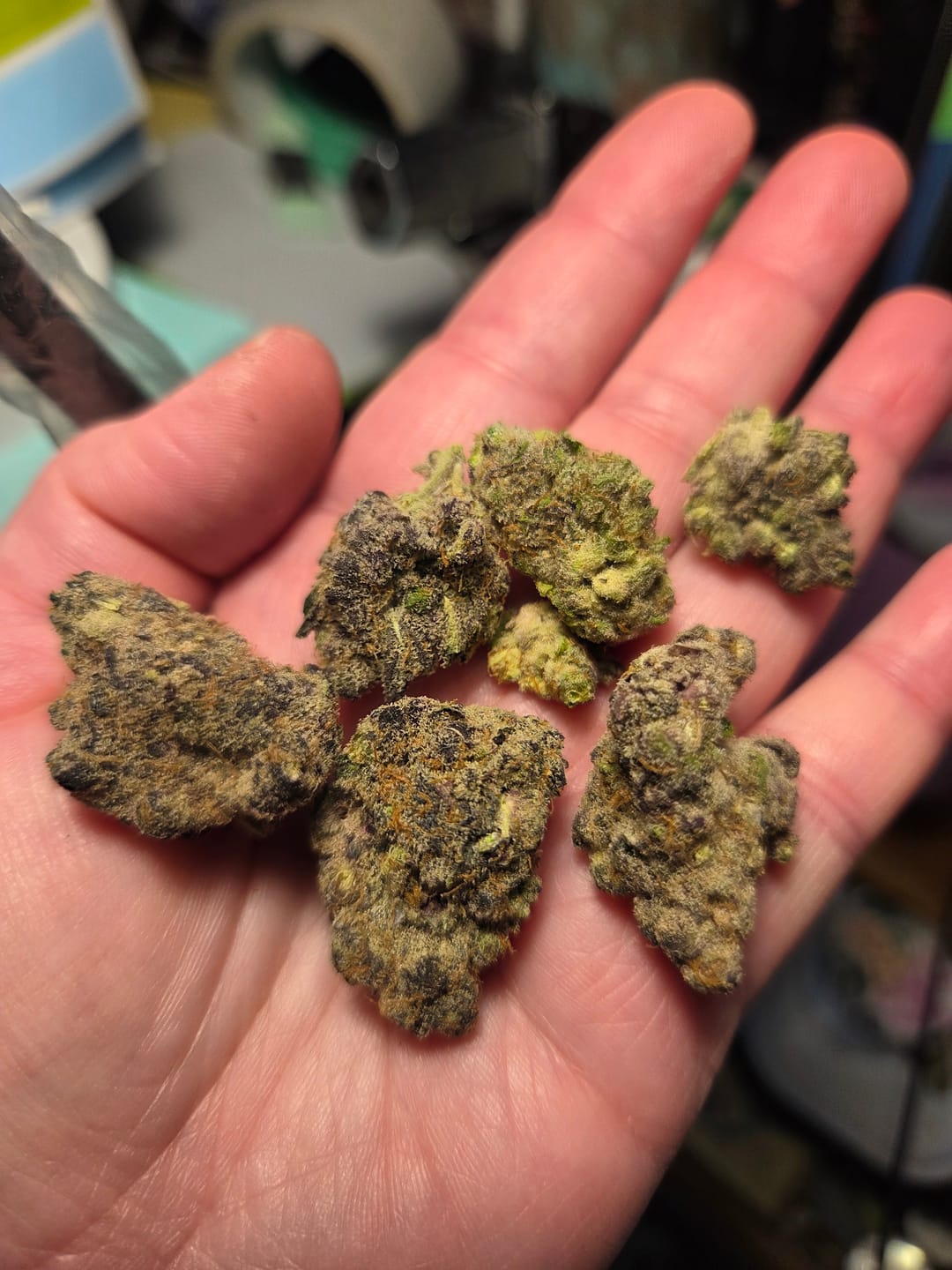 Customer photo review of Snozz Berries - Indoor - 4 Grams - Hybrid