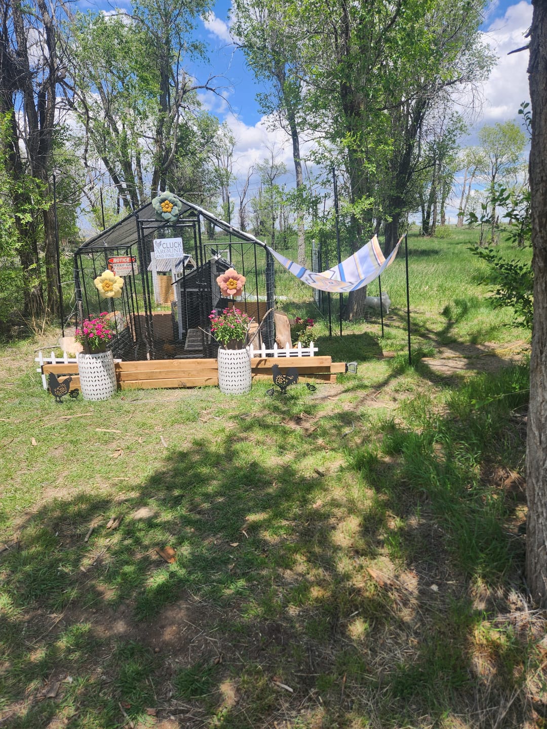 Customer photo review of Printed Shade Sail