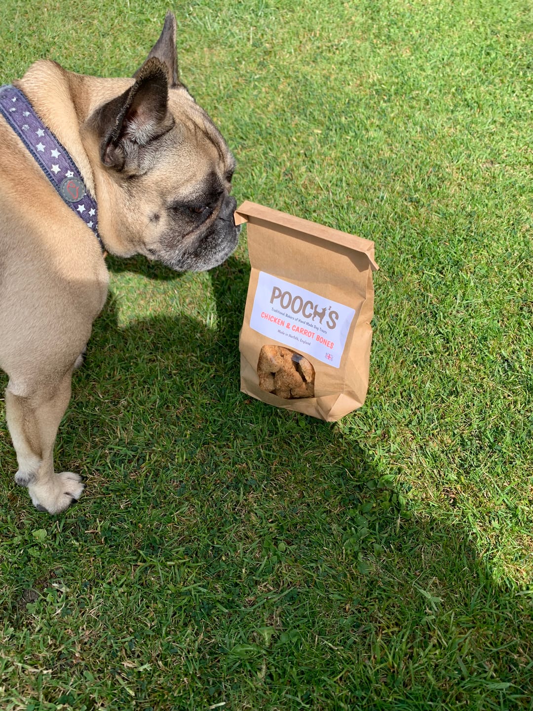Customer photo review of Poochs Handmade Dog Treats