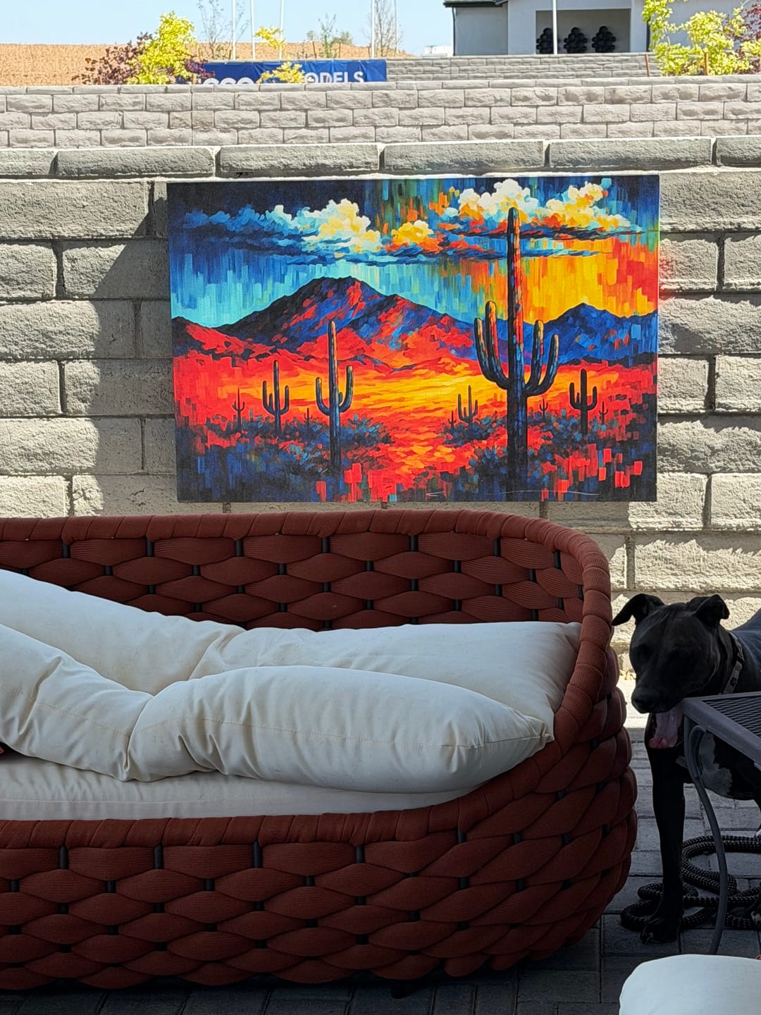 Customer photo review of Desert Cactus In Mountains