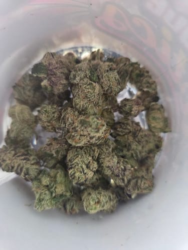 THCA Flower - Italian Ice photo review