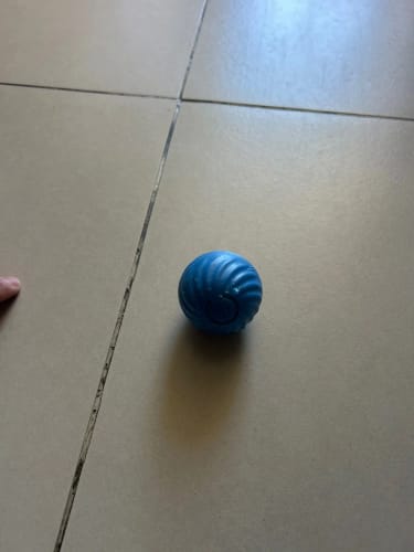 Customer photo review of Self-Rolling Smart Dog Ball