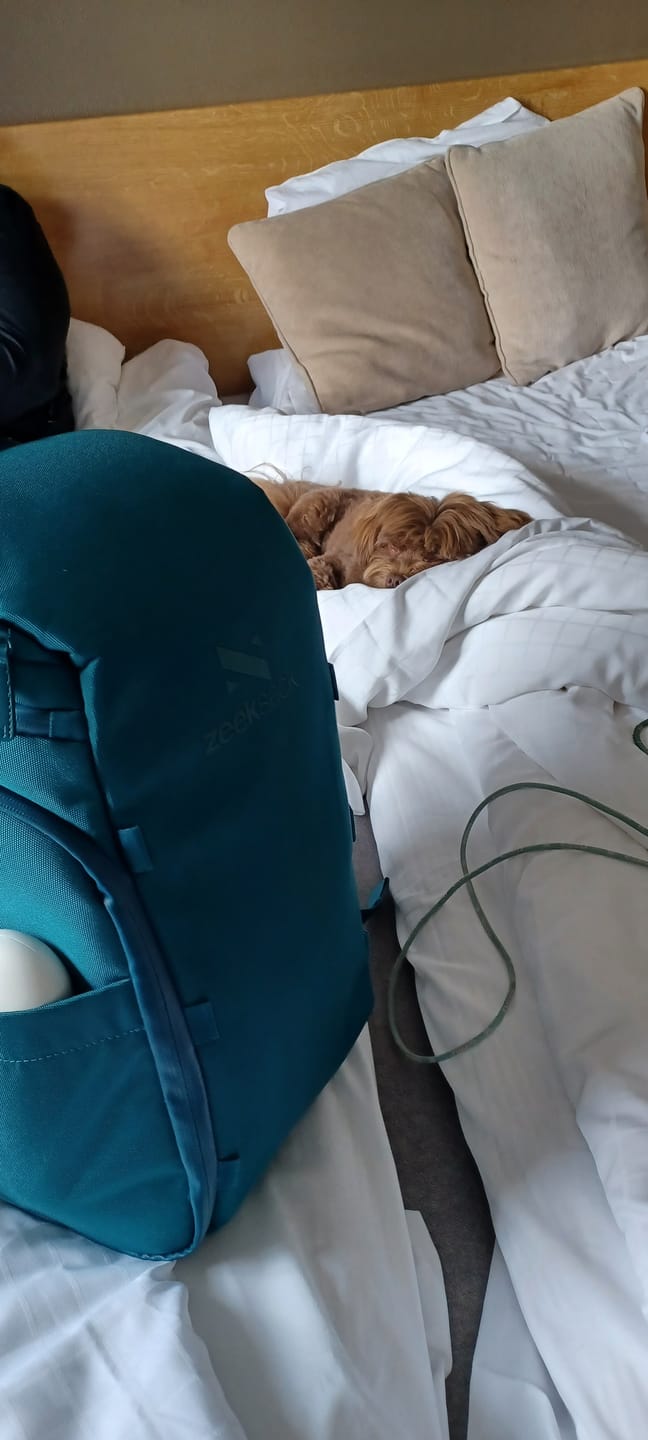 Customer photo review of The Organizer 20L
