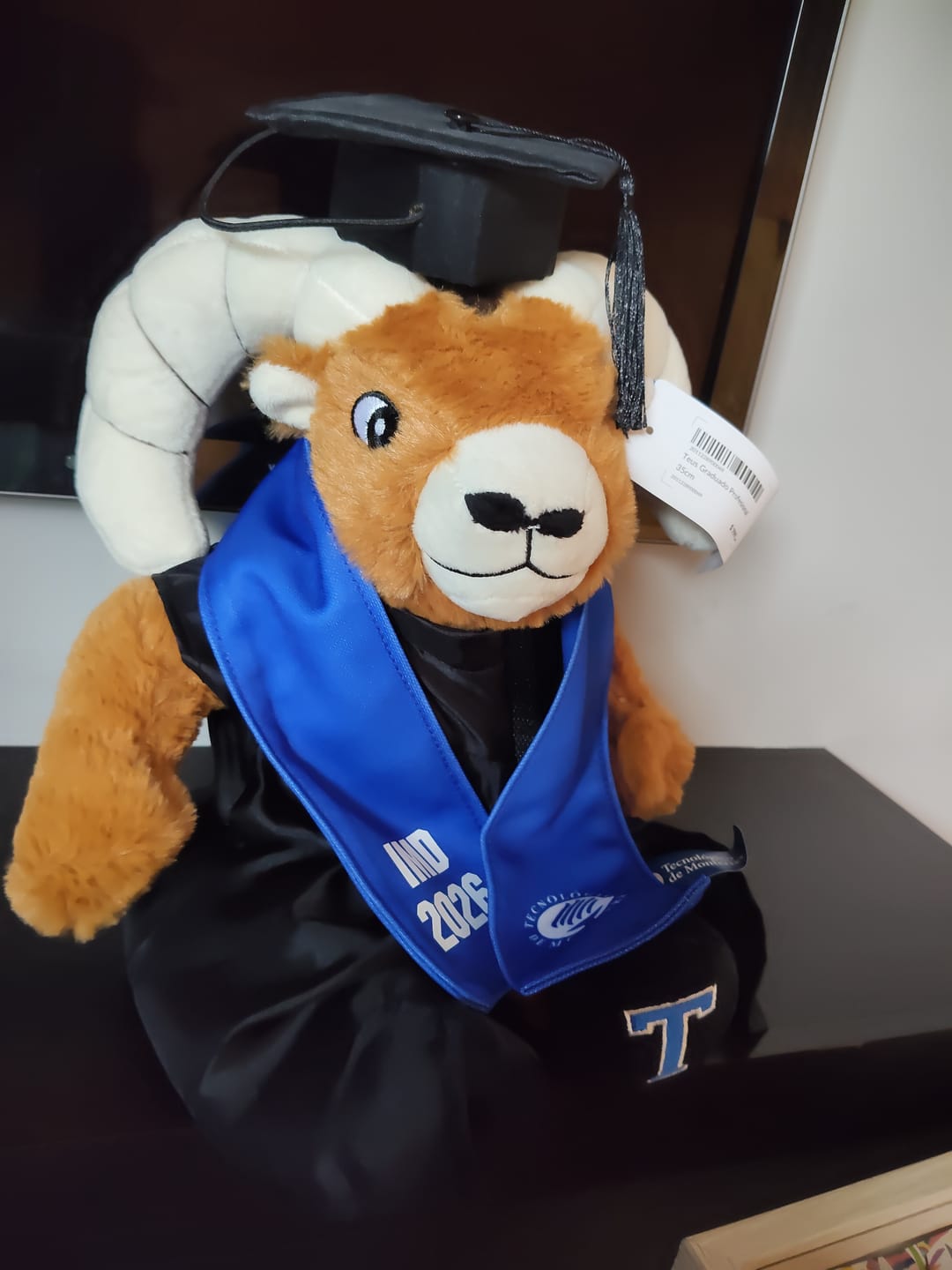 Customer photo review of TEUS Graduado