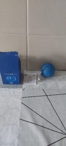 Customer photo review of Self-Rolling Smart Dog Ball