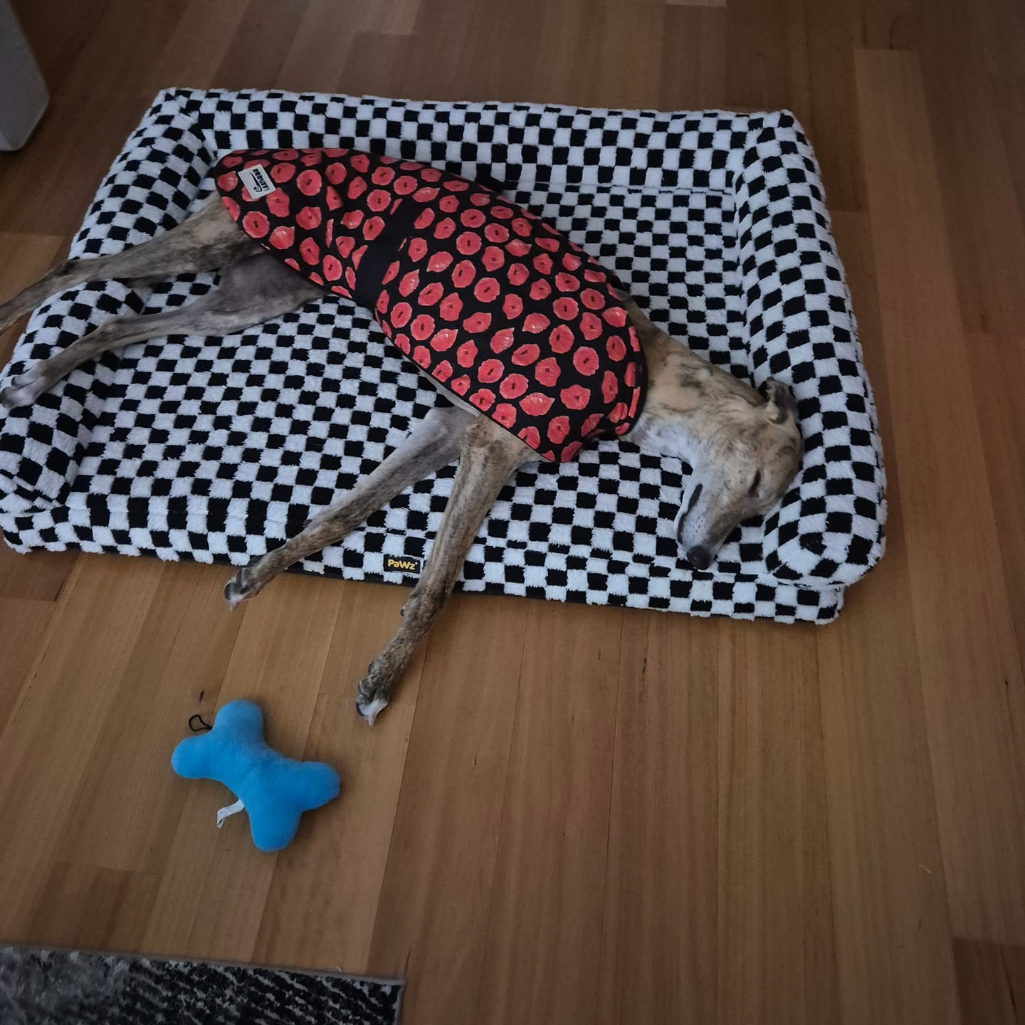 Customer photo review of Orthopedic Dog Bed Pet Mat Calming Checkered Plush Sofa Washable