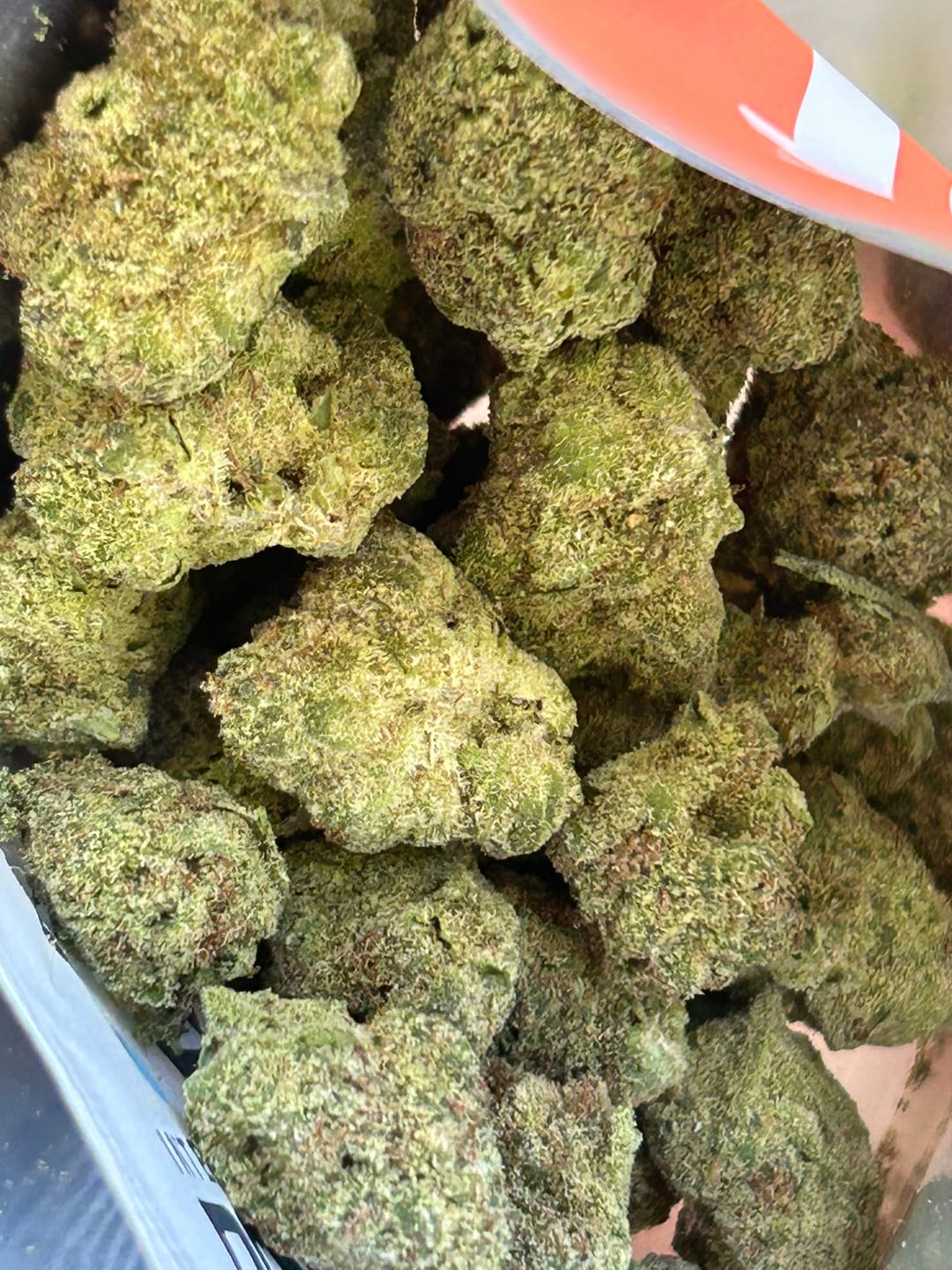 Customer photo review of Tangie - Exotic Smalls
