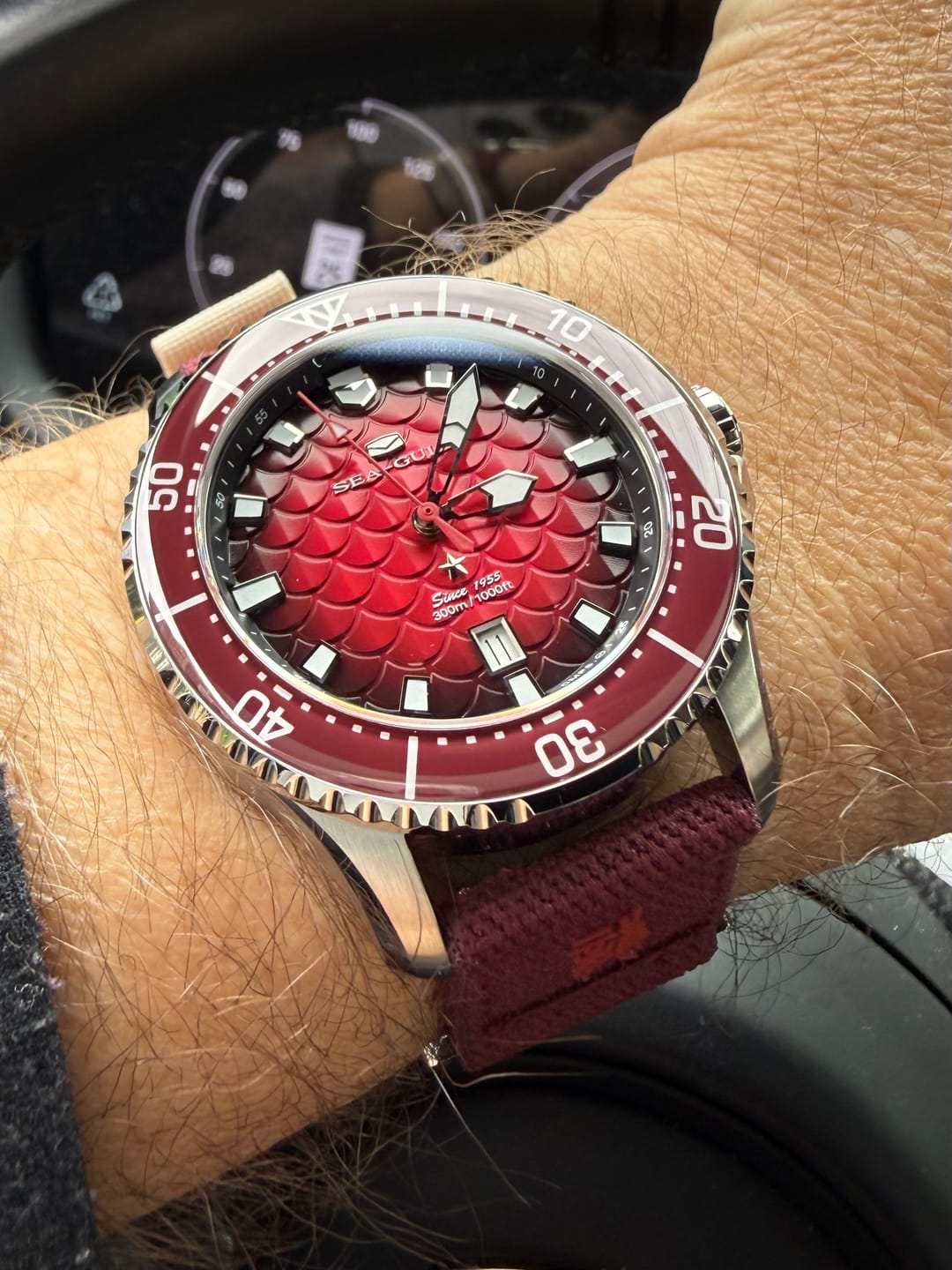 Customer photo review of Ocean Series Pro "Dragon Kings of the Four Seas" Dragon-scale Dial 300m Waterproof Diving Watch 44mm