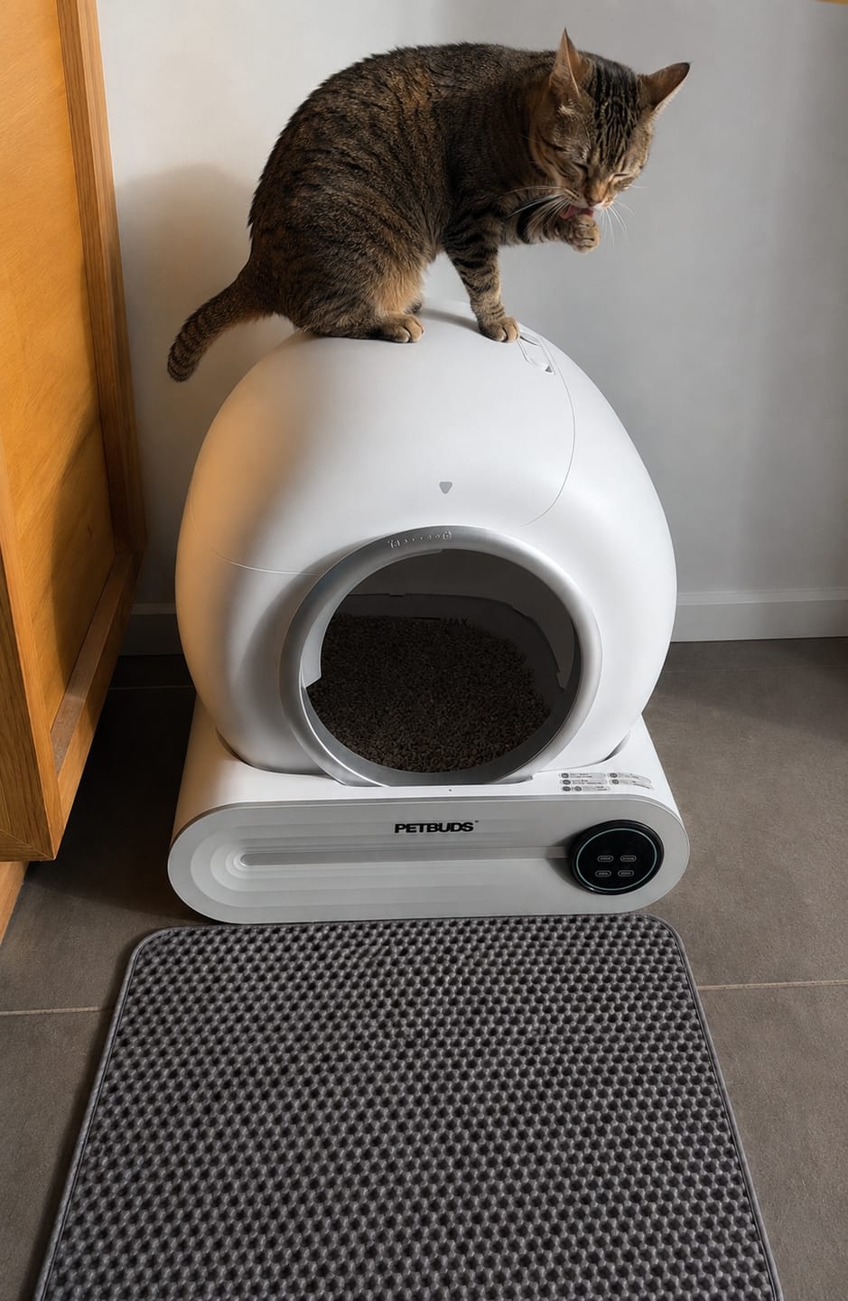 Customer photo review of Petbuds™ Pro 2026 Automatic Self-Cleaning Litter Box