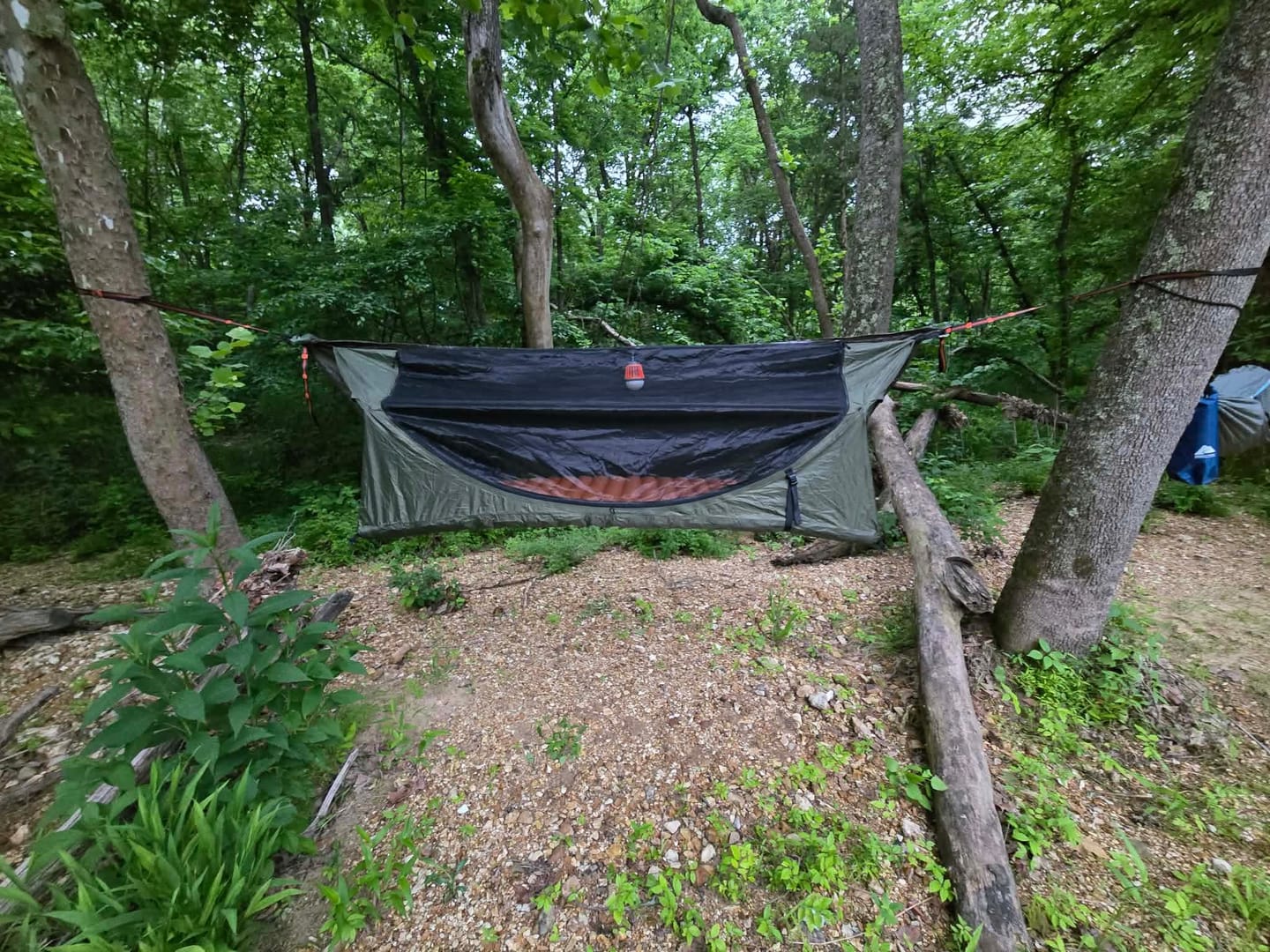 Customer photo review of Haven XL