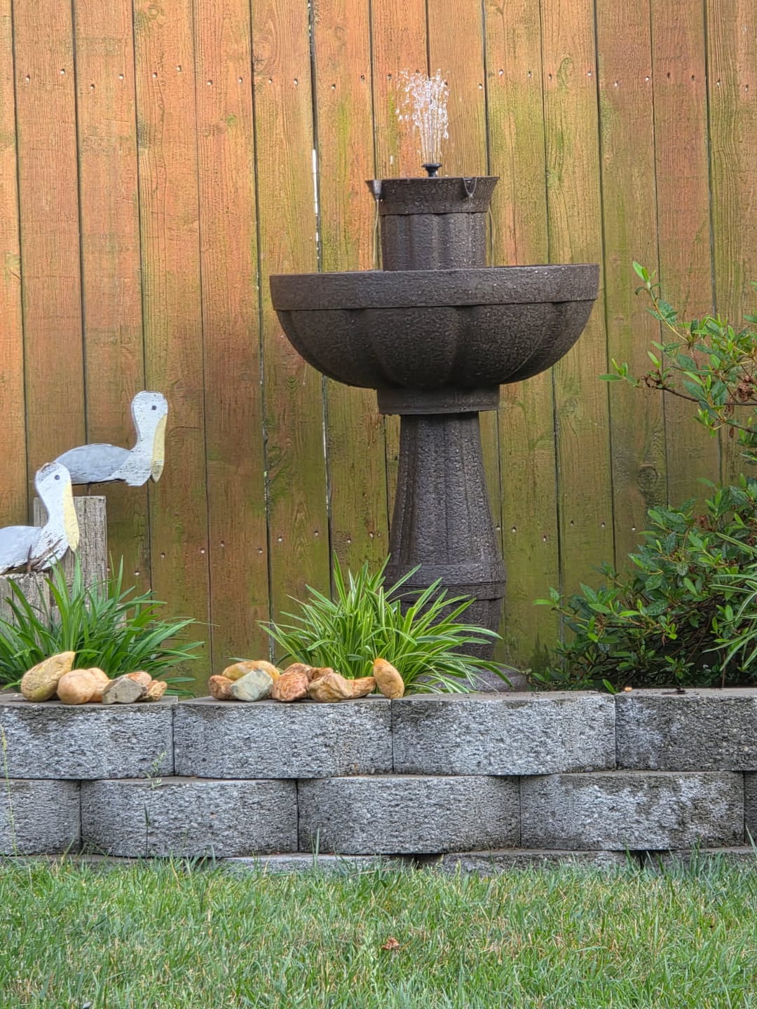 Customer photo review of Bari 5-In-1 Cordless Fluted Fountain
