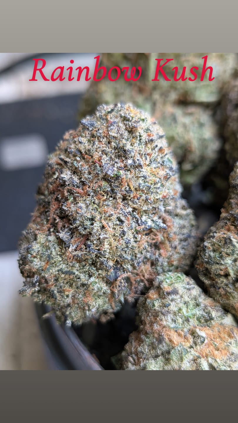 Customer photo review of Game Time Infused Preroll 1 Gram - Sativa