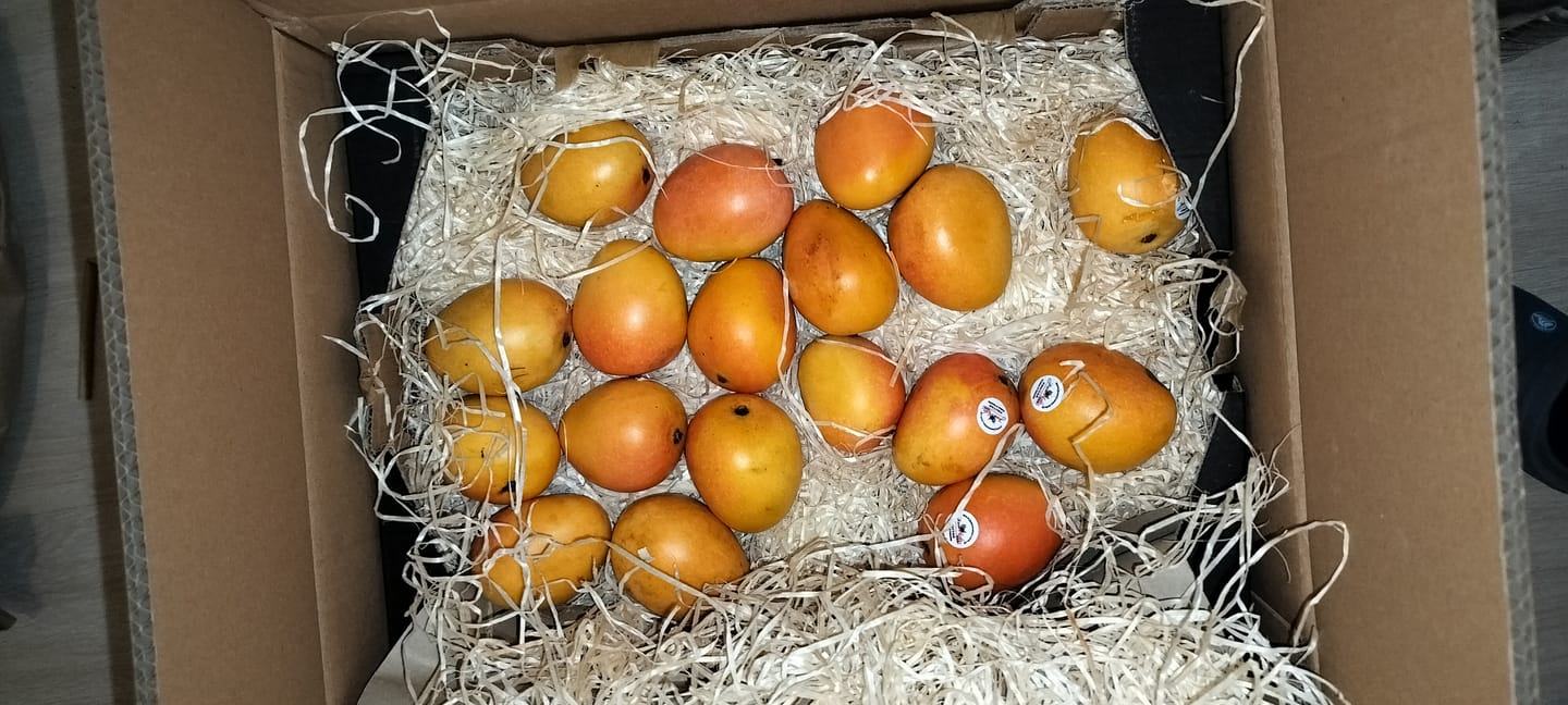 Customer photo review of Baby-Zuckermangos Ready to eat Sonderaktion %