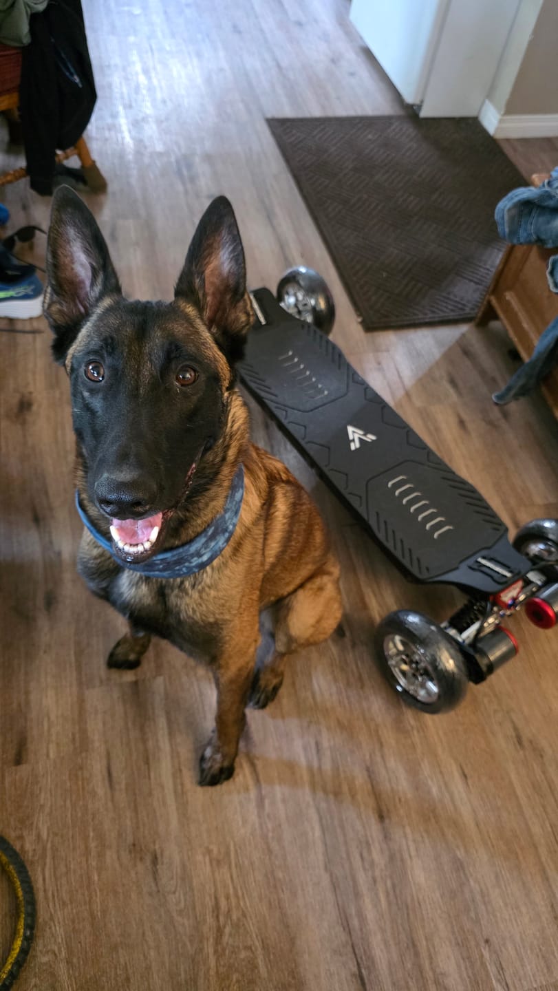 Customer photo review of Acedeck® Horizon Electric Skateboard- Best Independent Suspension Electric Skateboards