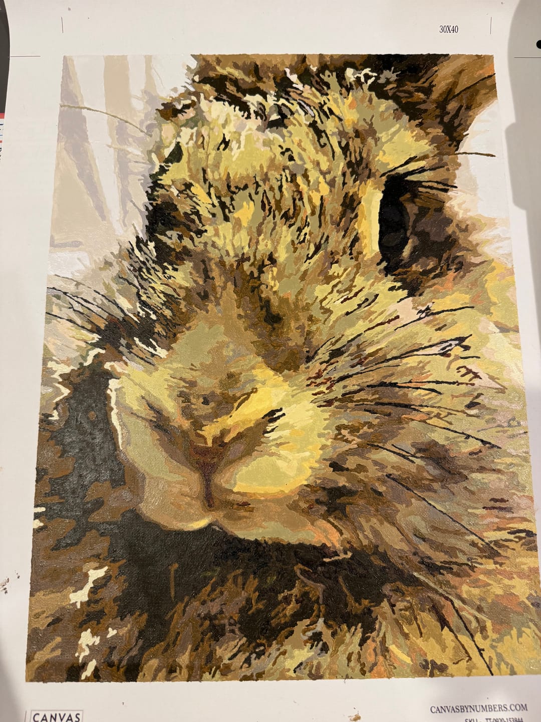 Customer photo review of Custom Paint by Numbers Kit for Personalized Artwork