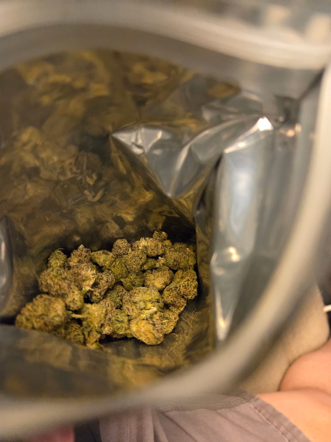 Customer photo review of Alien OG