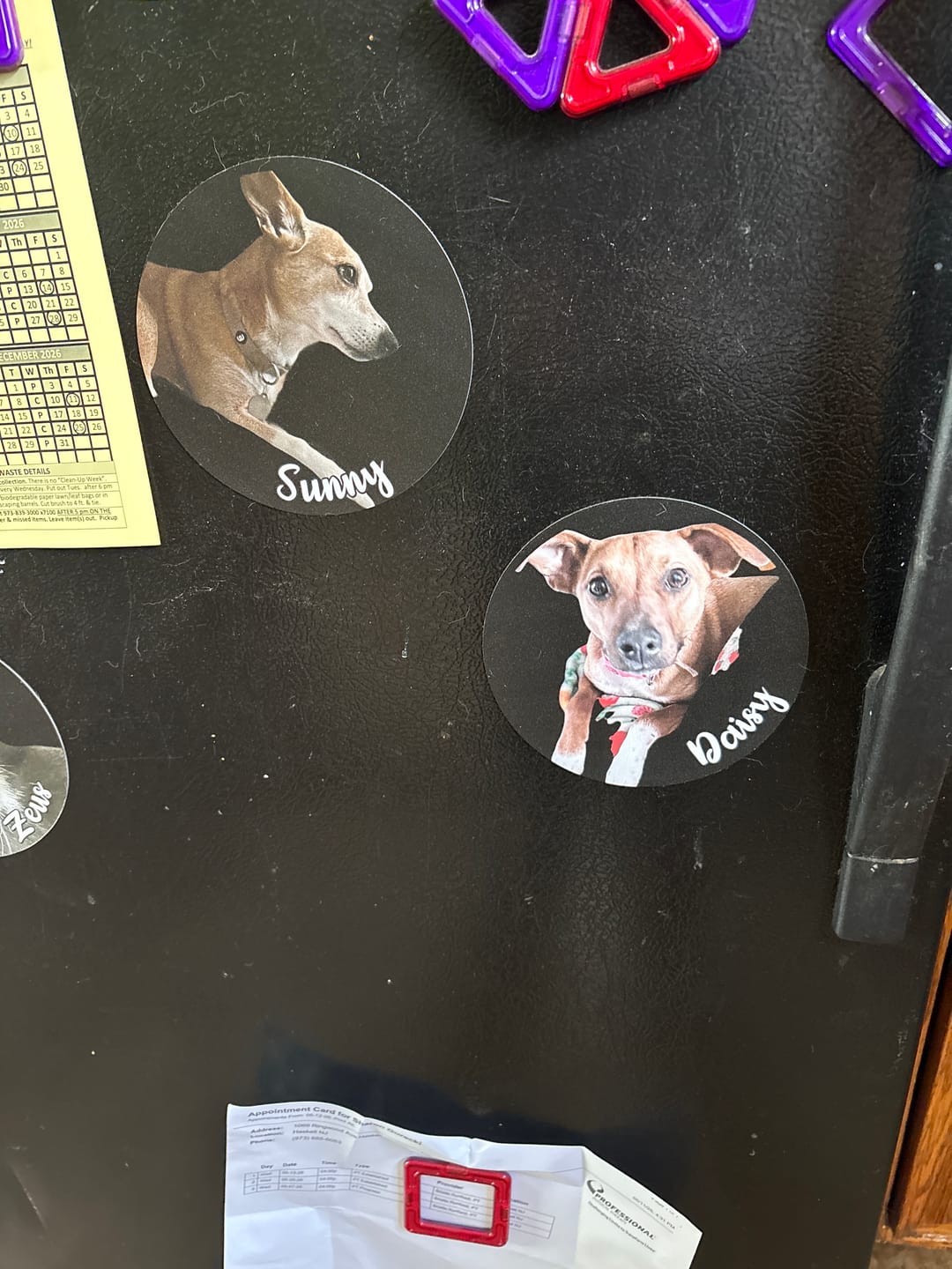 Customer photo review of Your photo - Personalized Car Magnet