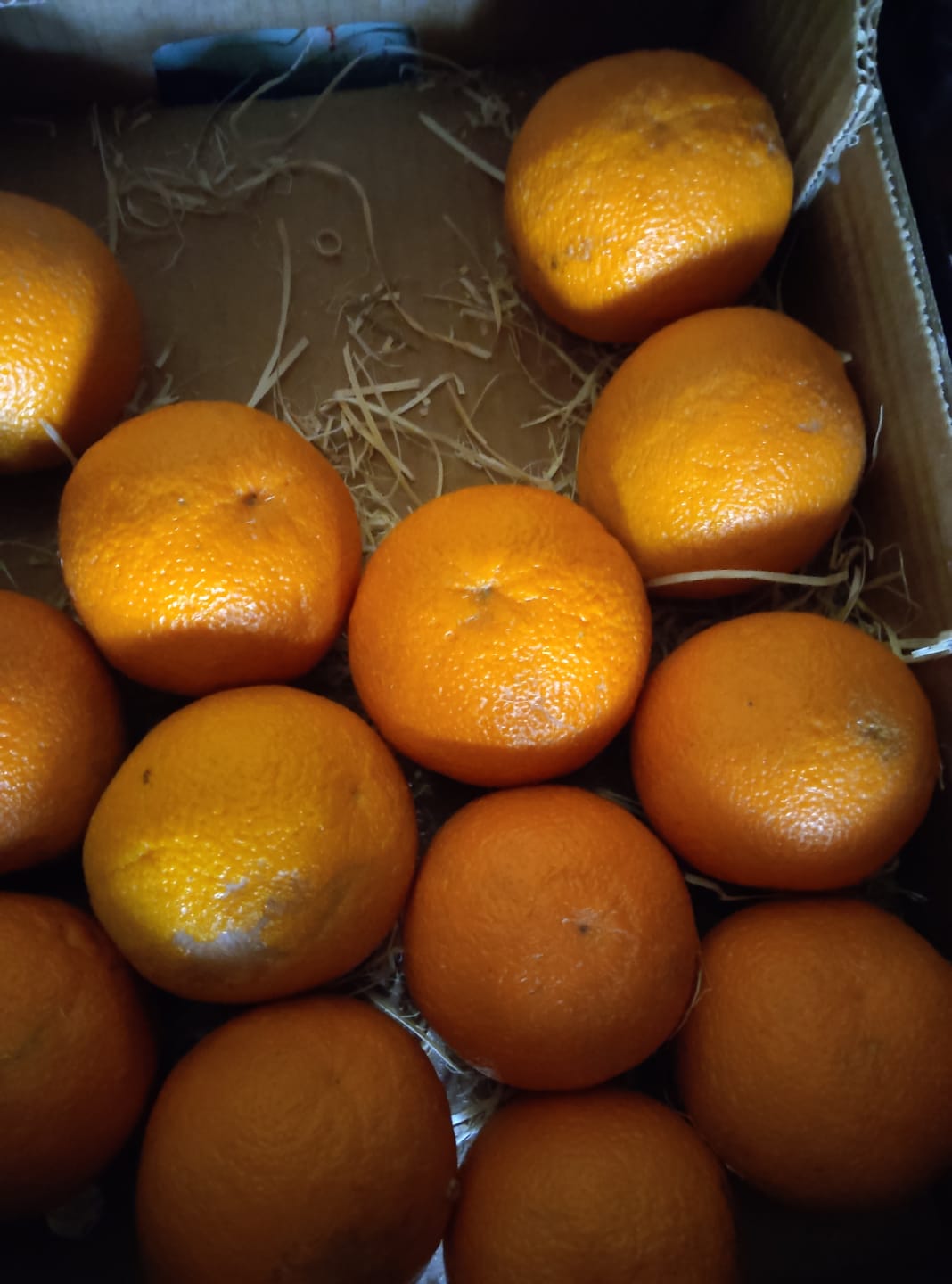 Customer photo review of Orangen Lane Late Bio von Apostolis Kreta 4kg Box