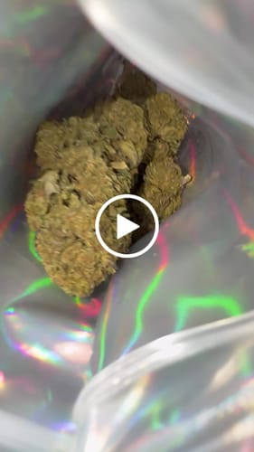 Customer video review of Greenhouse Flower