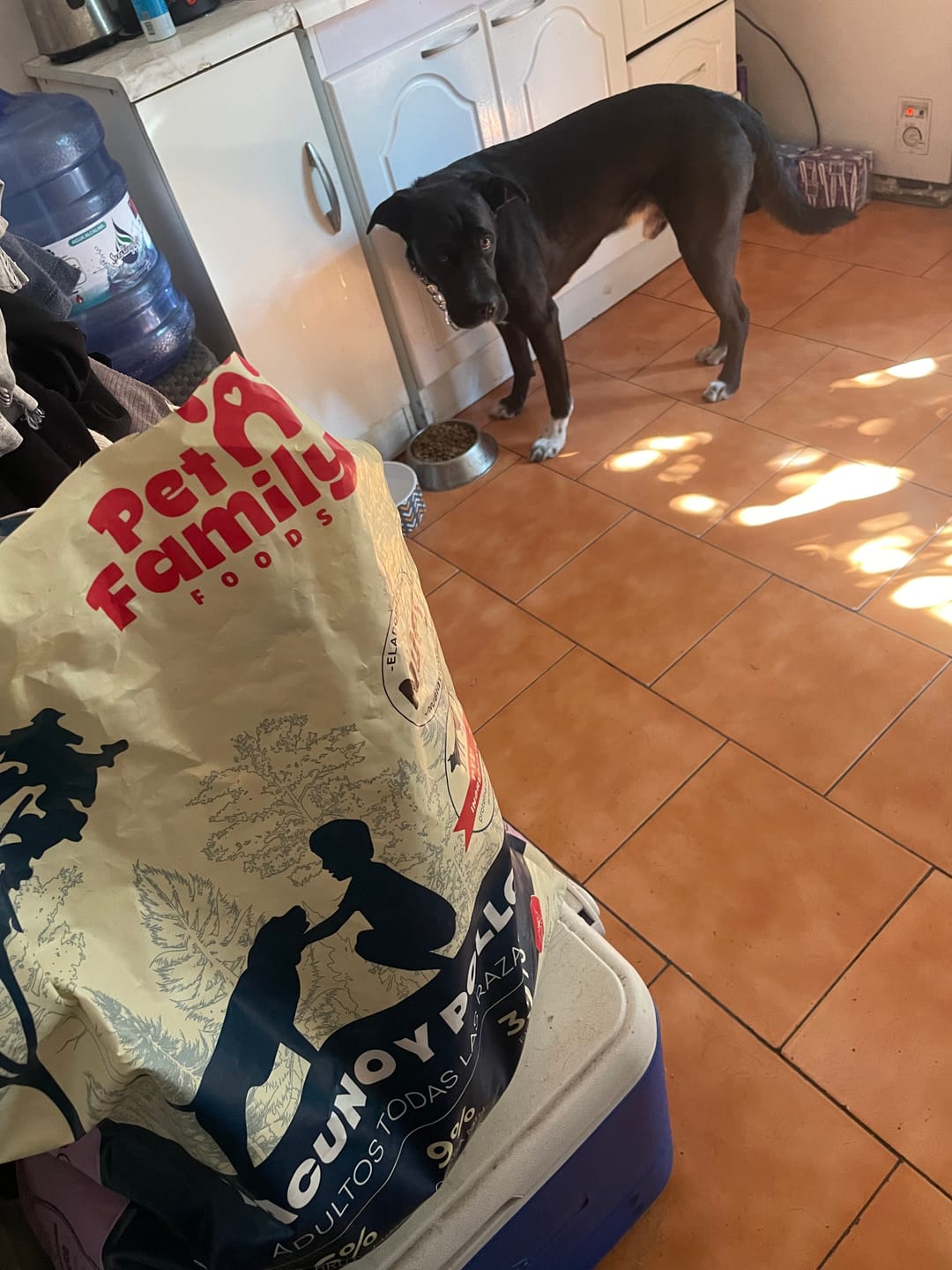 Customer photo review of PetFamily Foods