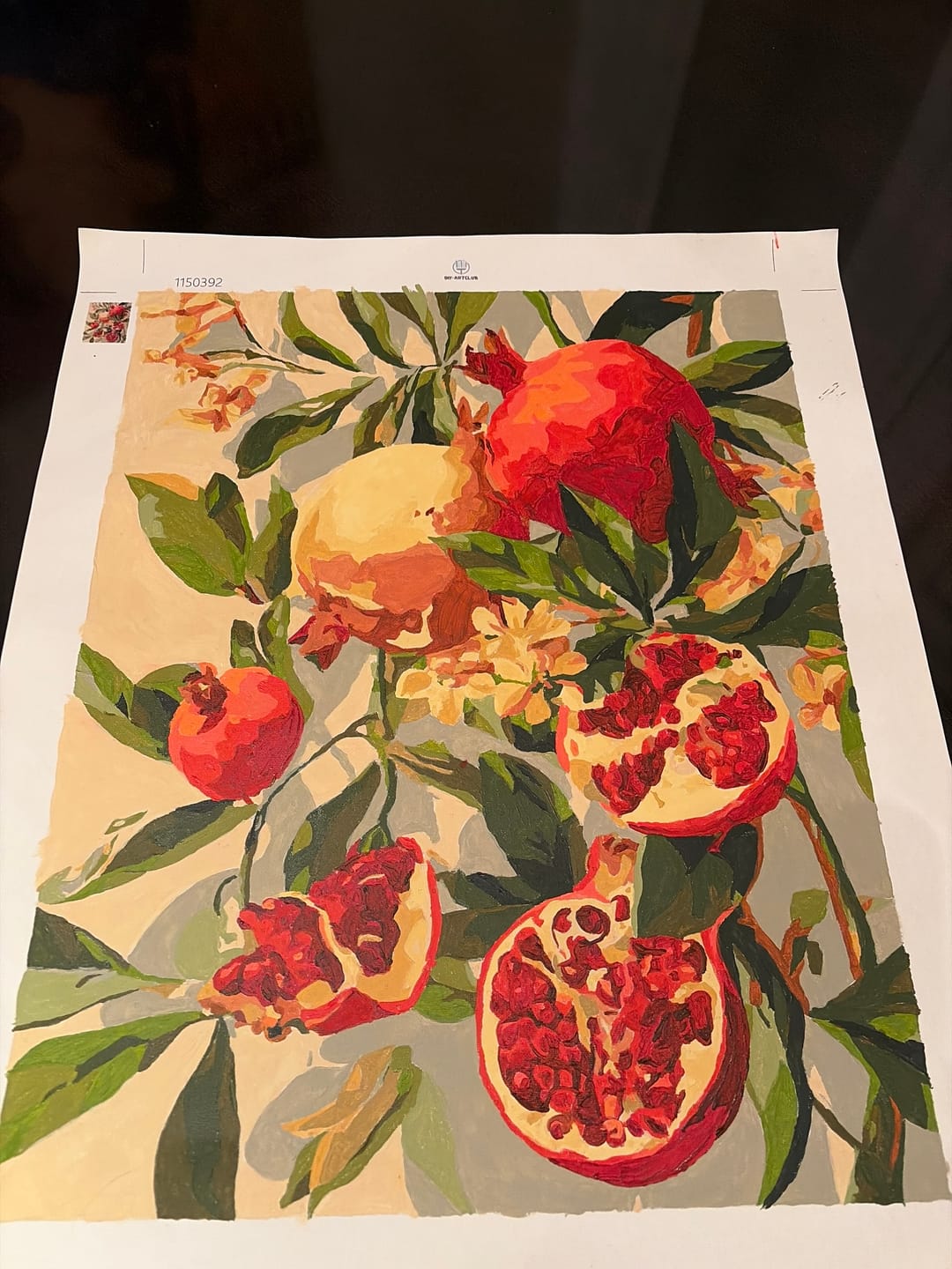 Customer photo review of Blooming pomegranates | Paint by Number