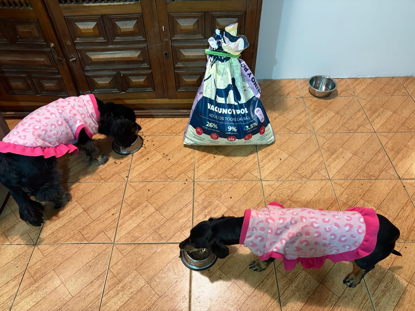 Customer photo review of PetFamily Foods Razas Pequeñas