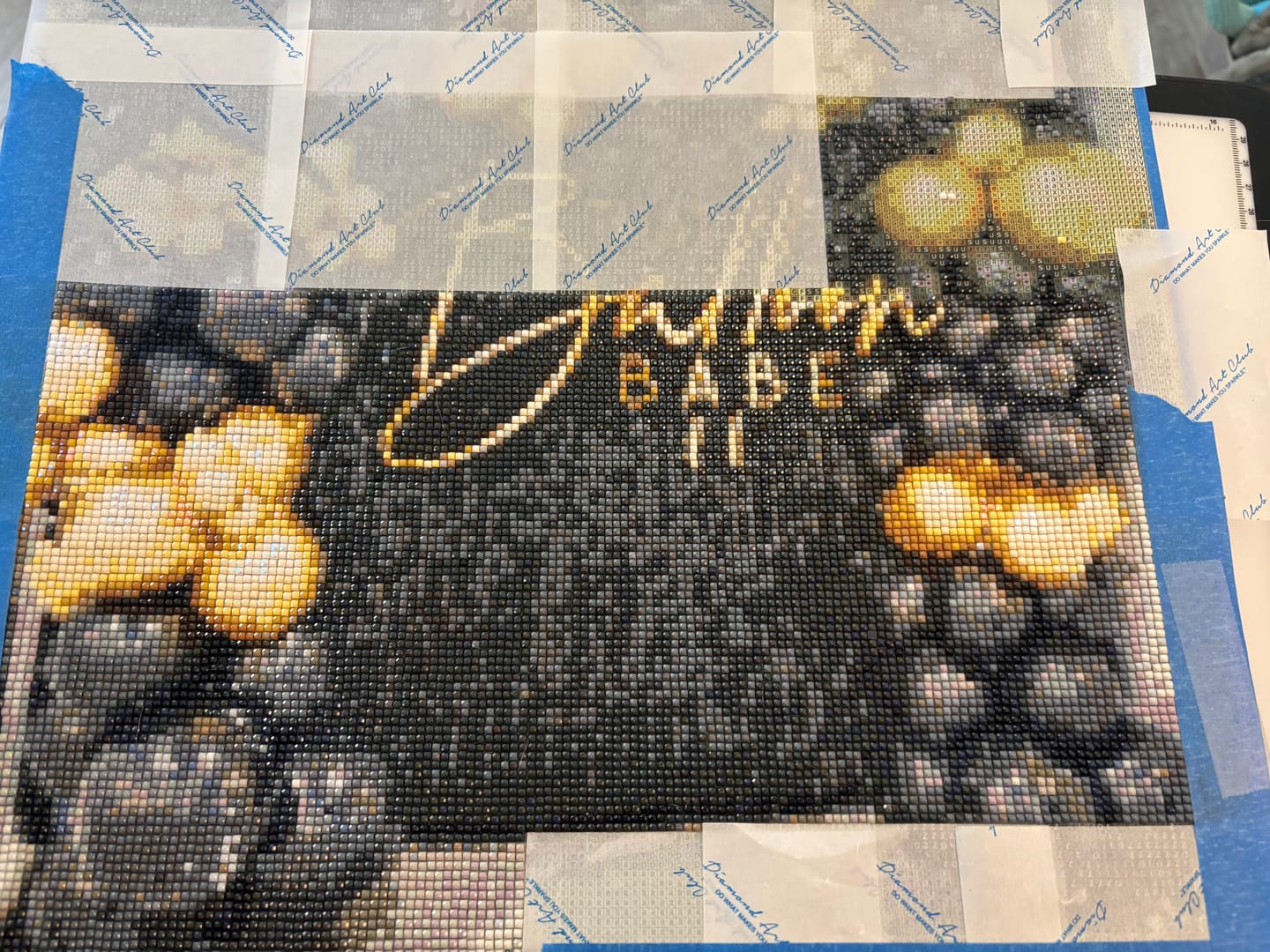 Customer photo review of Worlds Best Customized Diamond Painting Kit