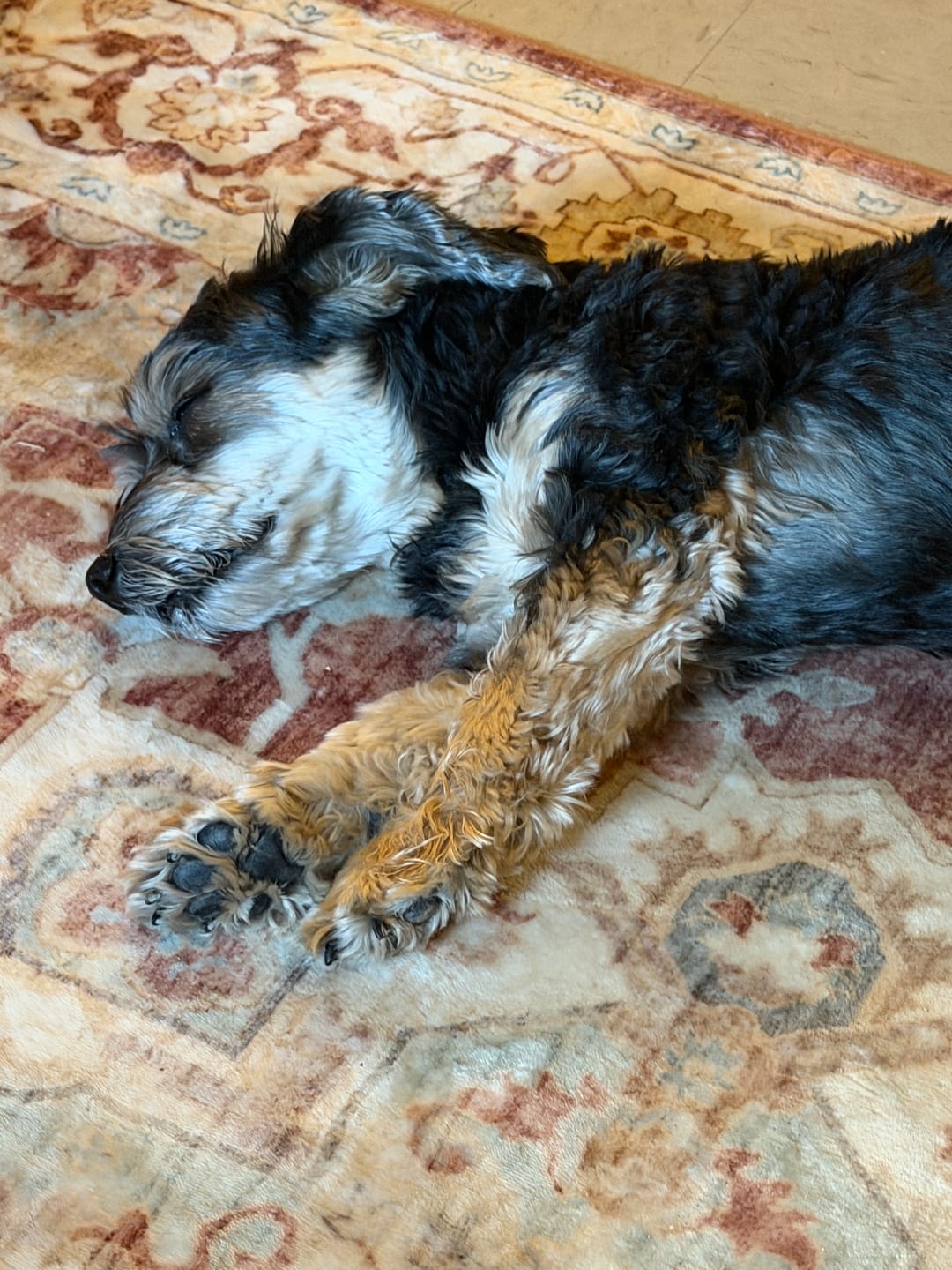 Customer photo review of Bark-Less Bites