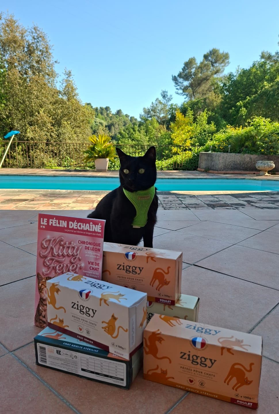 Customer photo review of Pâtée Chat Senior Sans Céréales - Boeuf