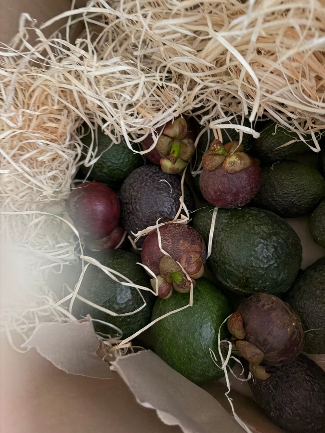 Customer photo review of Avocado Retterbox "Späternte" von Juan 3kg