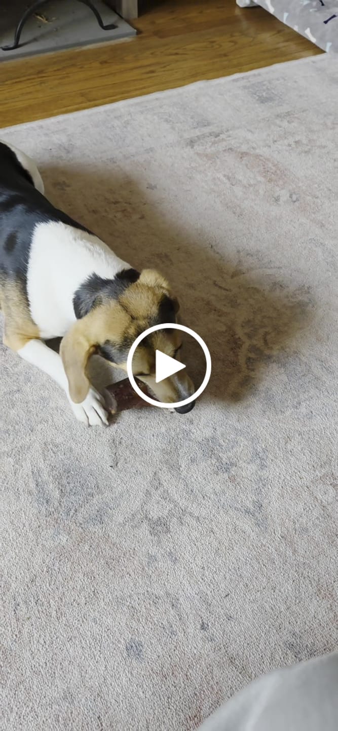 Customer video review of Smoked Beef Marrow Bone